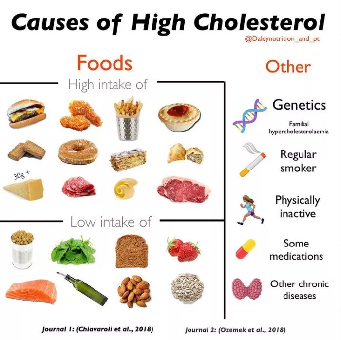 Gesunde ernährung bei hohem cholesterinspiegel